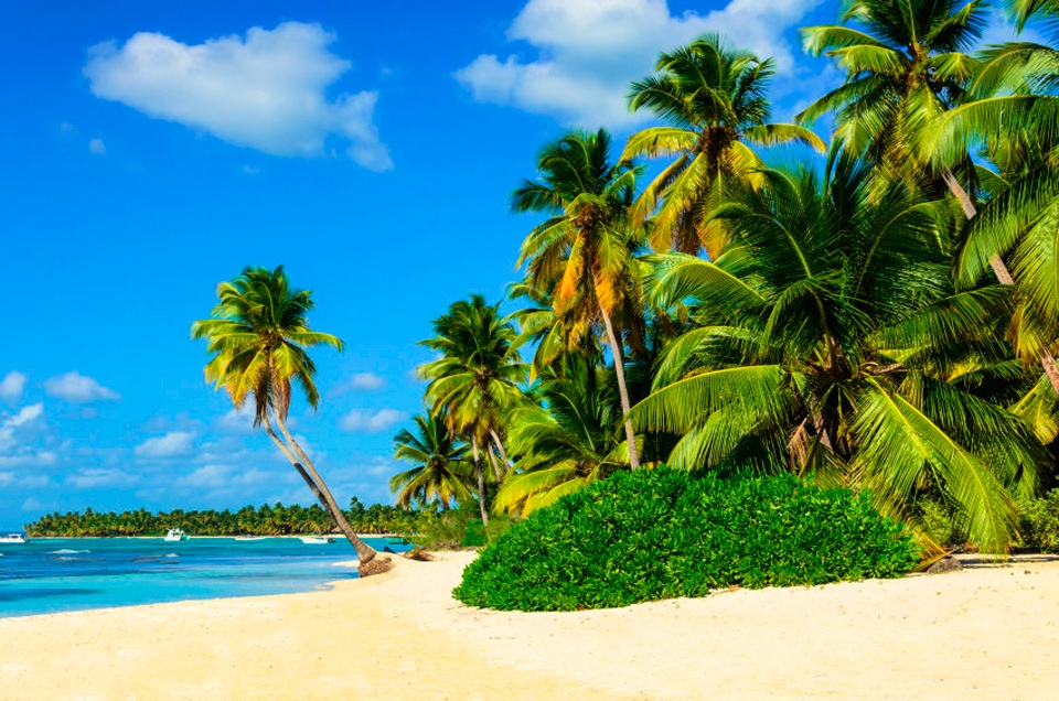 Papermoon Fototapete »Exotic Palm Beach« Papermoon Fototapete »Exotic Palm Beach« von Papermoon