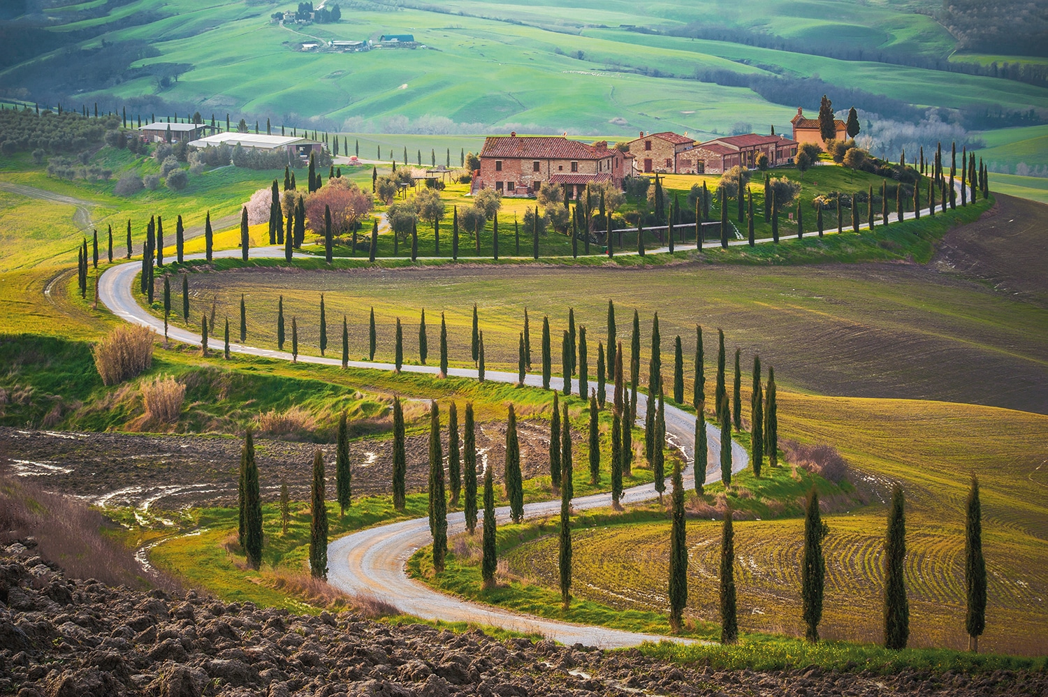 Papermoon Fototapete »Fields in Tuscany« von Papermoon