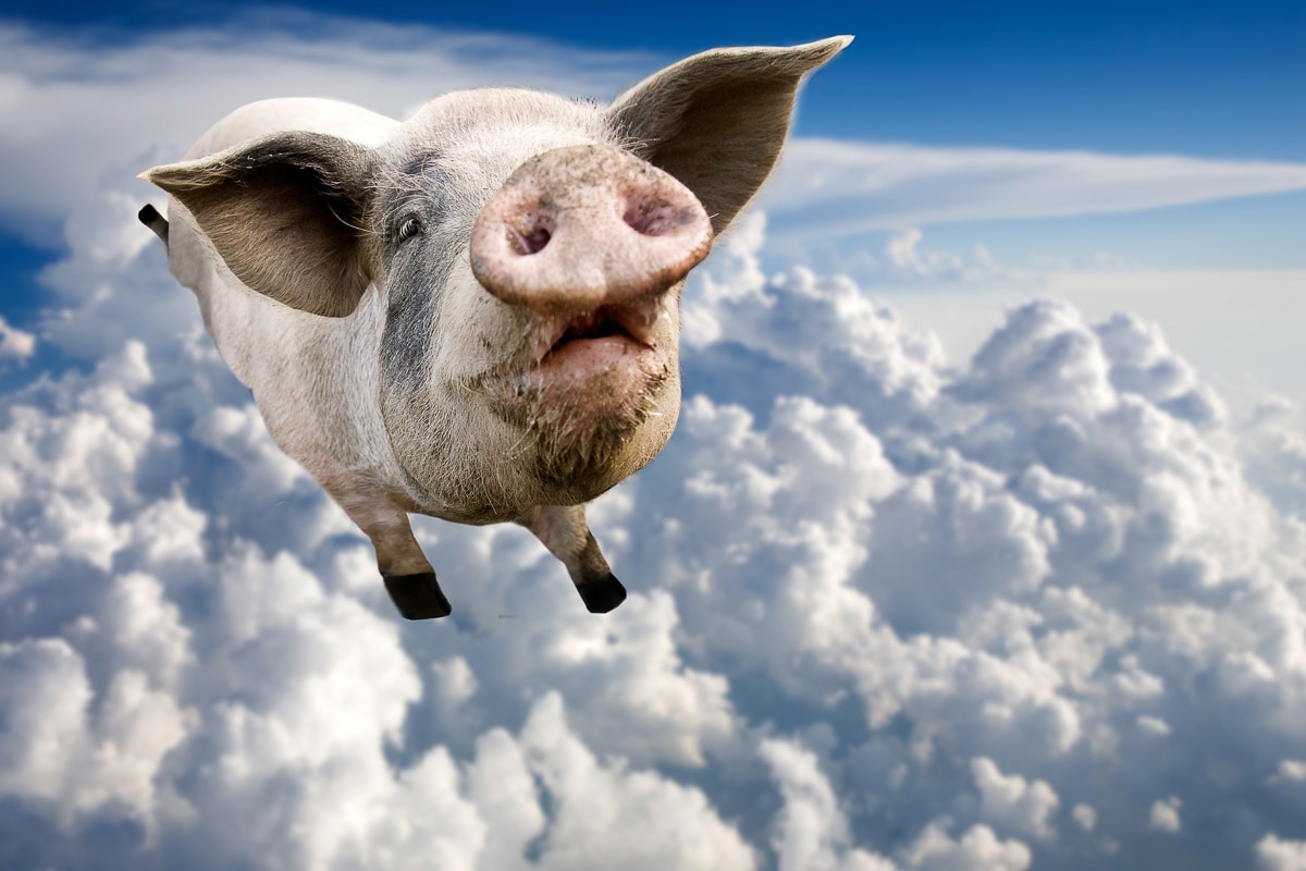 Papermoon Fototapete »Fliegende Schweine« Papermoon Fototapete »Fliegende Schweine« von Papermoon