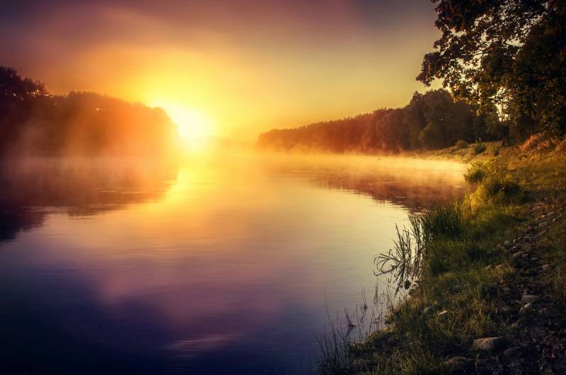 Papermoon Fototapete »Fluss am Wald« von Papermoon
