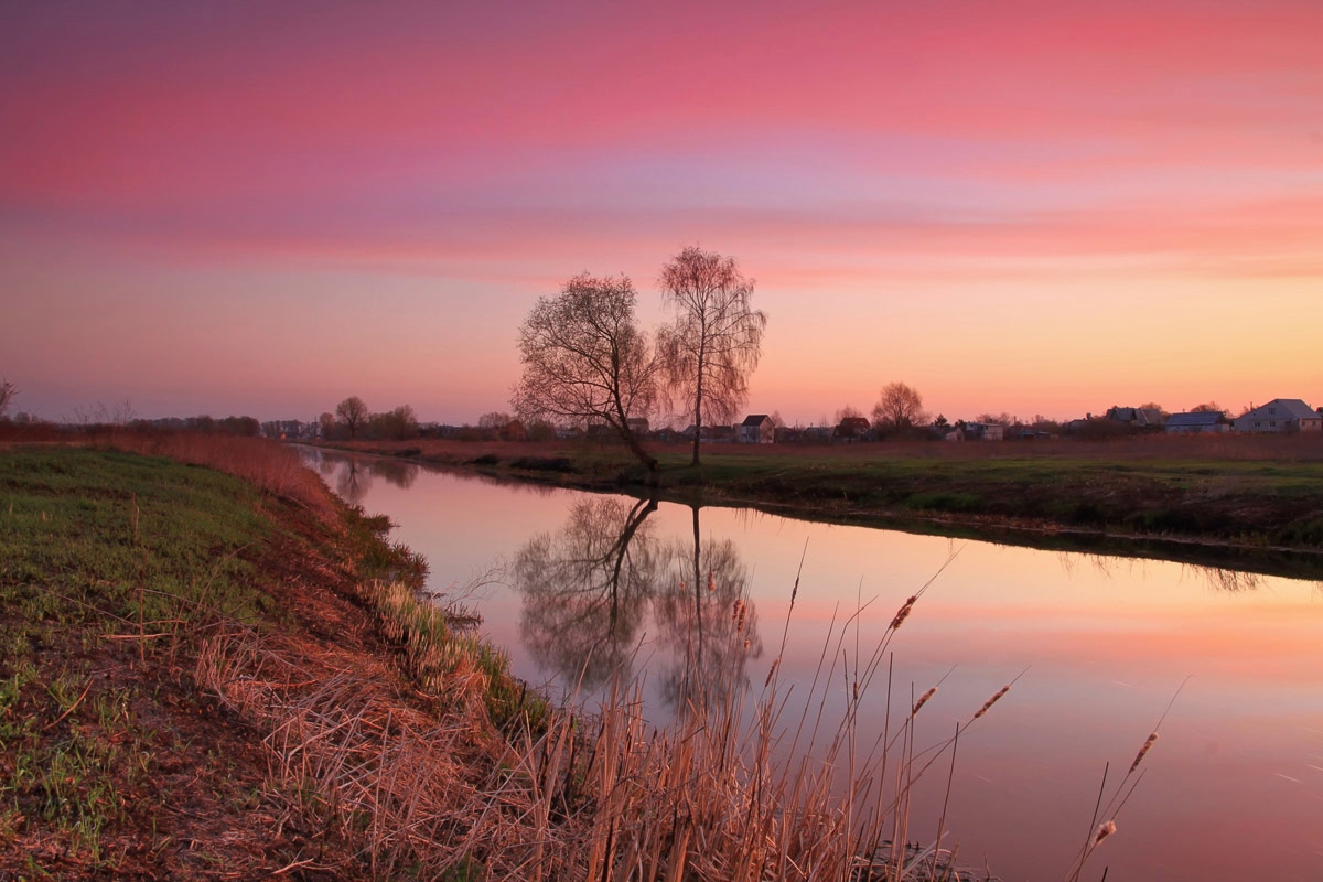 Papermoon Fototapete »Fluss durch Feld« von Papermoon