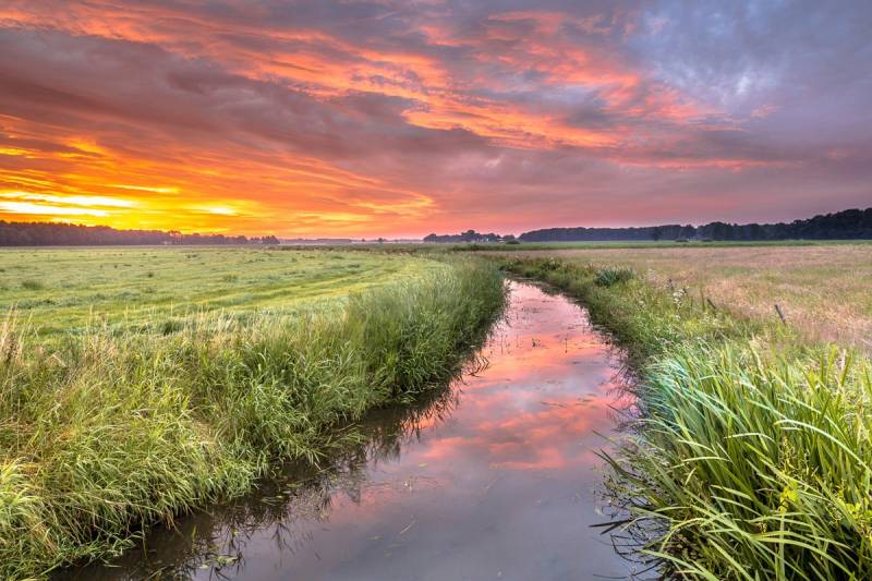Papermoon Fototapete »Fluss in Feld« von Papermoon