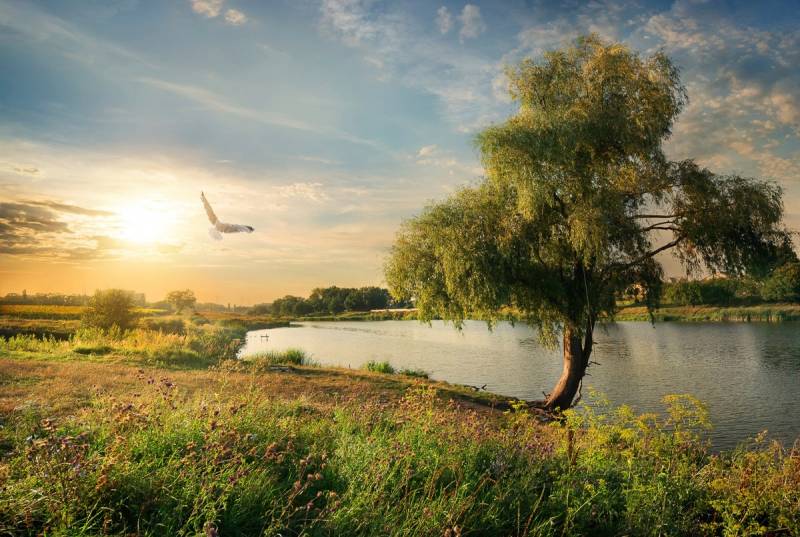 Papermoon Fototapete »Fluss in Landschaft« von Papermoon