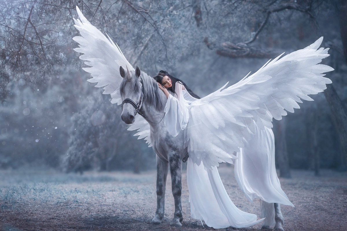 Papermoon Fototapete »Frau auf Pegasus« von Papermoon