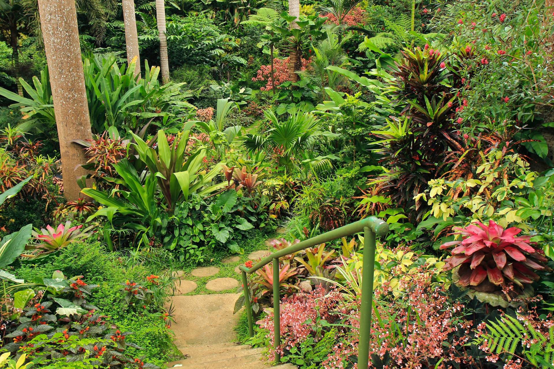 Papermoon Fototapete »GARTEN-BLUMEN BÄUME PFLANZEN PARK STEINE WALD BLÜTEN« von Papermoon