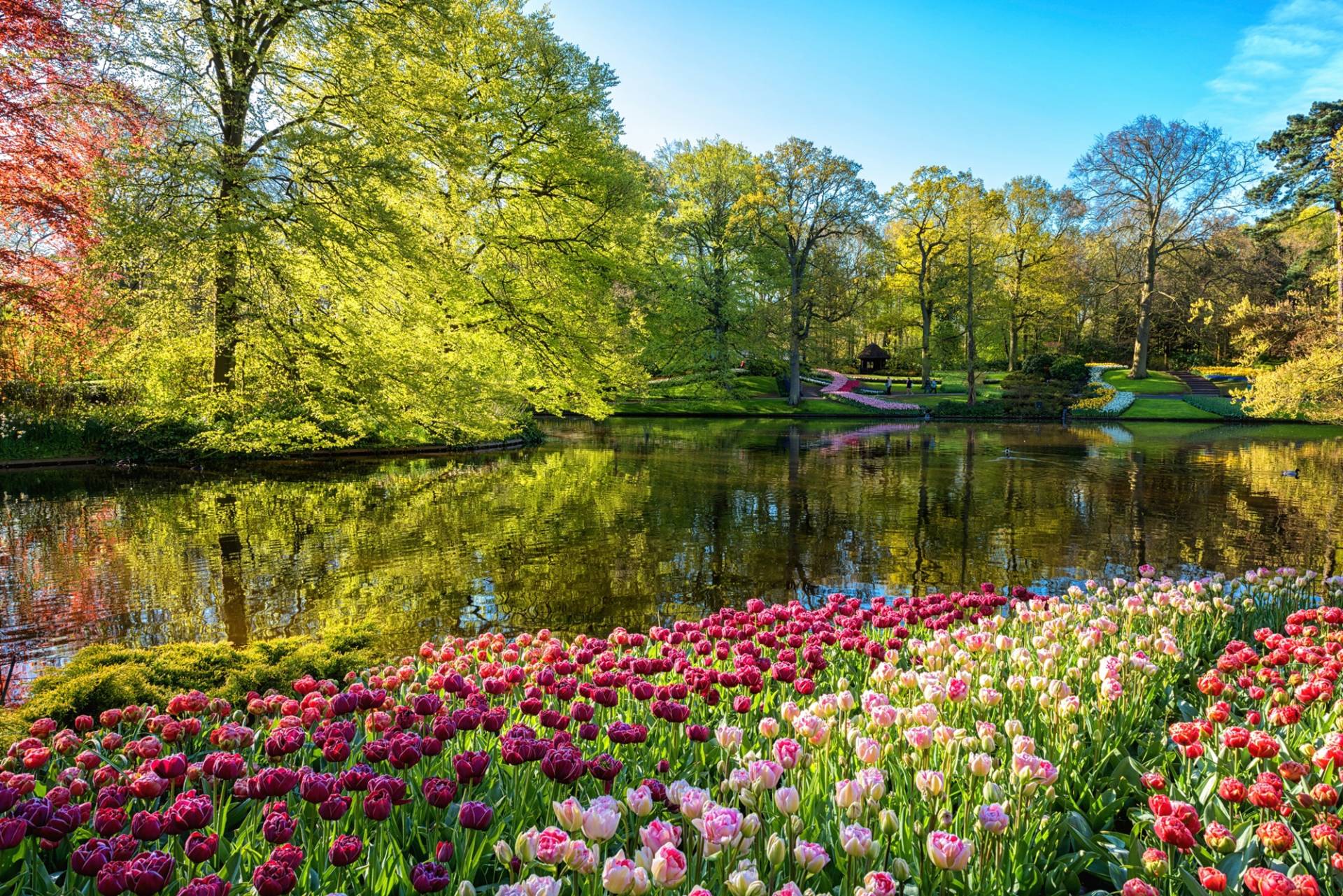Papermoon Fototapete »GARTEN-BLUMEN BÄUME PFLANZEN STEINE WALD PARK BLÜTEN« Papermoon Fototapete »GARTEN-BLUMEN BÄUME PFLANZEN STEINE WALD PARK BLÜTEN« von Papermoon