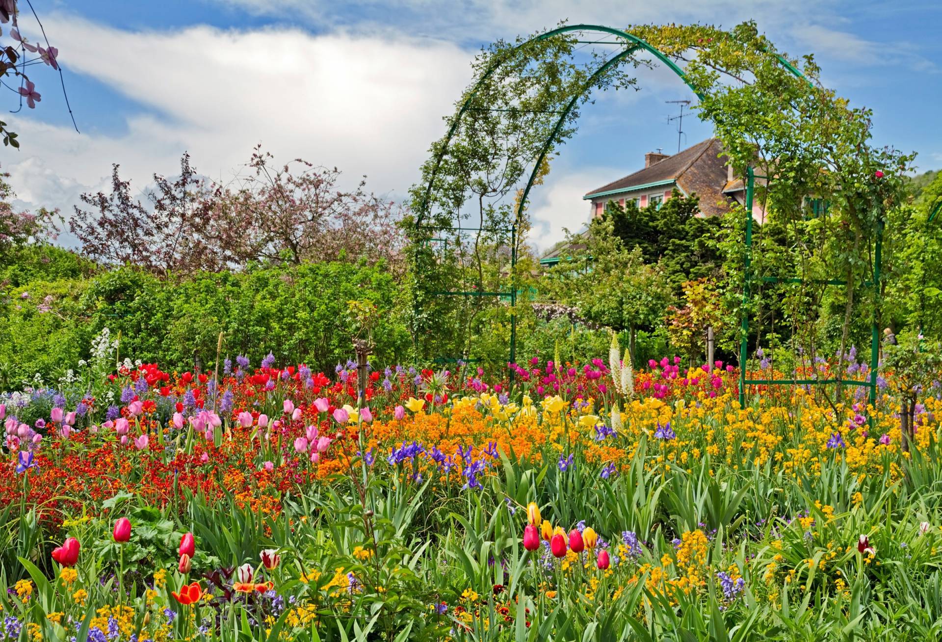 Papermoon Fototapete »GARTEN MONET-BLUMEN BÄUME PFLANZEN PARK STEINE BLÜTEN« von Papermoon