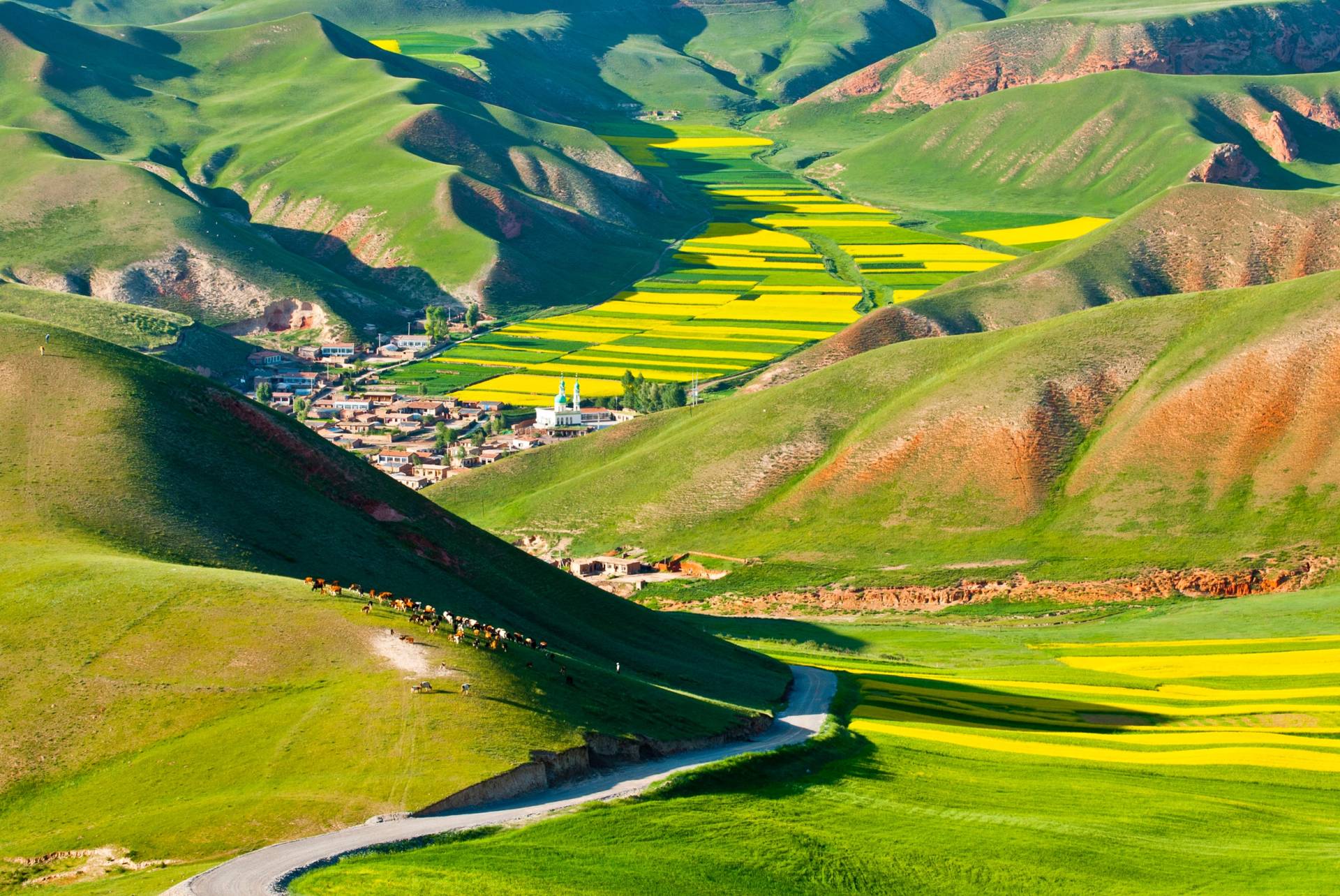 Papermoon Fototapete »GEBIRGE-TAL STADT BUNT BERGE LANDSCHAFT VIEH GRÜN WOLKE« von Papermoon