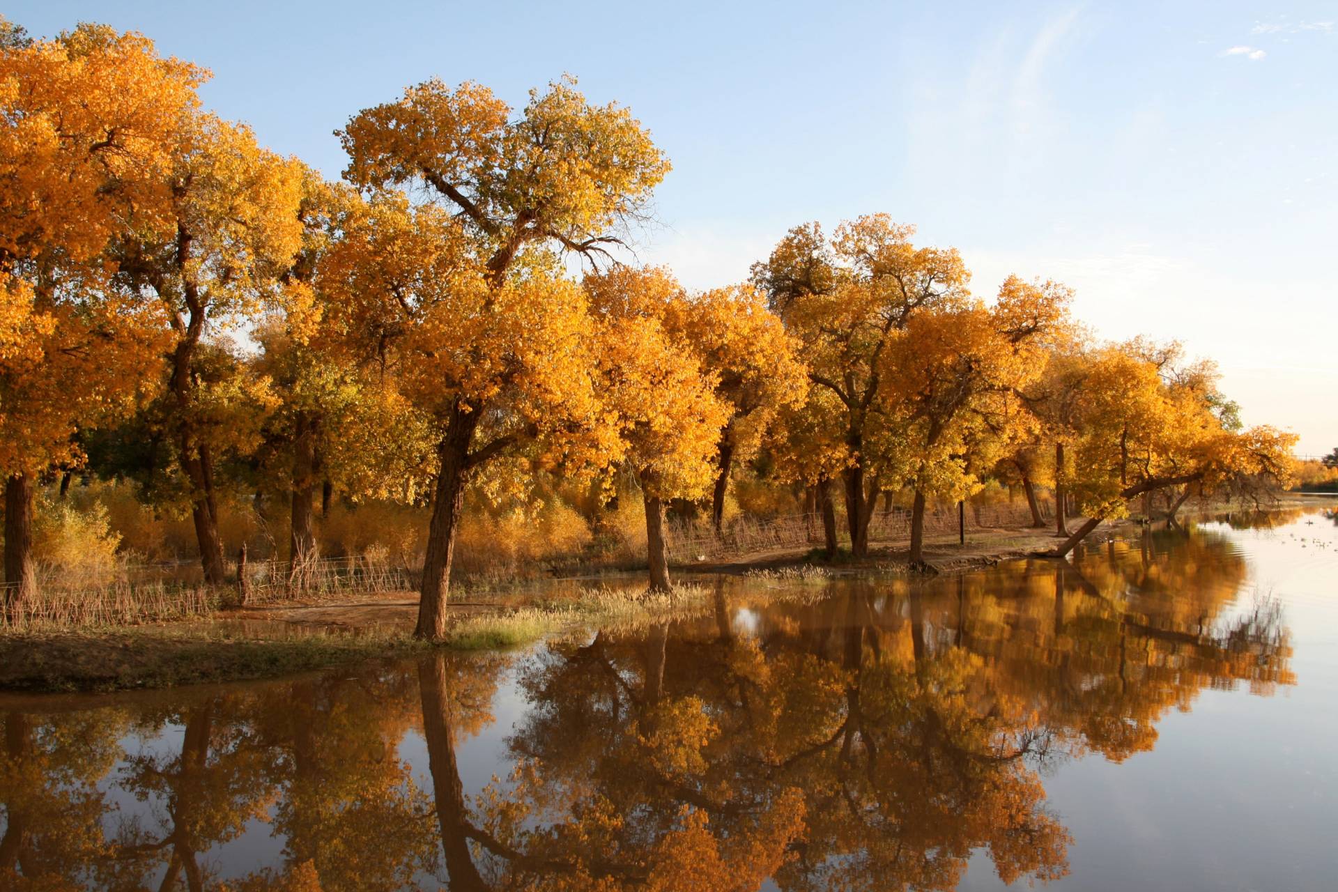 Papermoon Fototapete »HERBST LANDSCHAFT-CHINA SEE WALD BÄUME STRAND SONNE« Papermoon Fototapete »HERBST LANDSCHAFT-CHINA SEE WALD BÄUME STRAND SONNE« von Papermoon