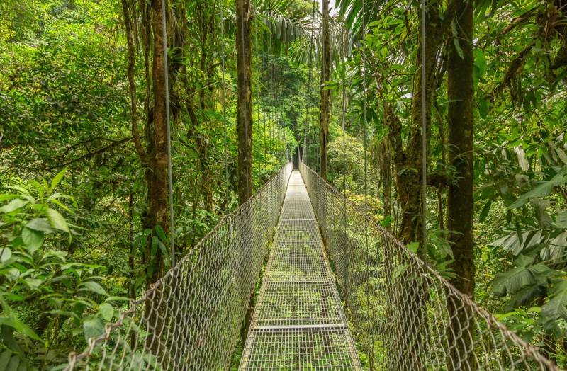 Papermoon Fototapete »Hängebrücke durch Dschungel« von Papermoon