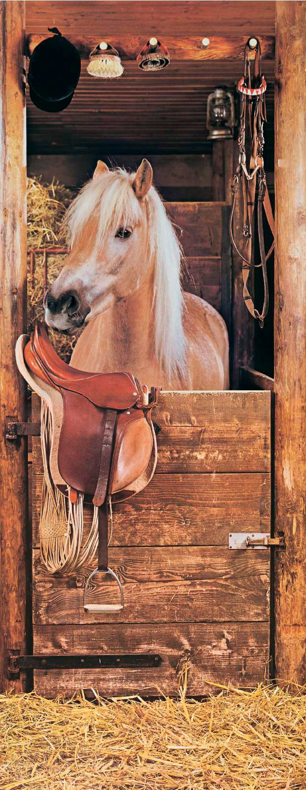 Papermoon Fototapete »Horse in Stable - Türtapete«, matt von Papermoon