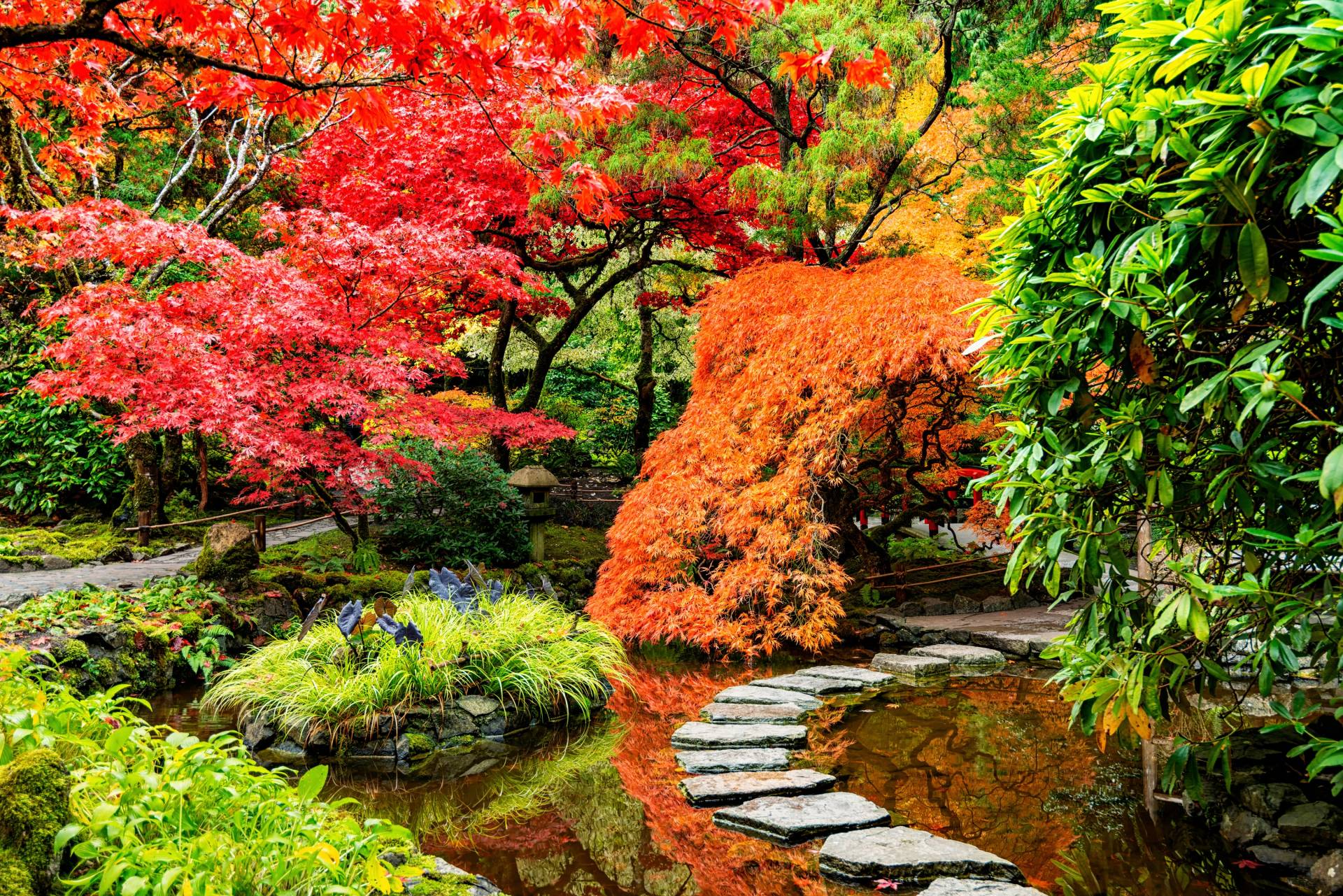 Papermoon Fototapete »JAPANISCHER GARTEN-BLUMEN BÄUME SEE NATUR HERBST WALD« Papermoon Fototapete »JAPANISCHER GARTEN-BLUMEN BÄUME SEE NATUR HERBST WALD« von Papermoon