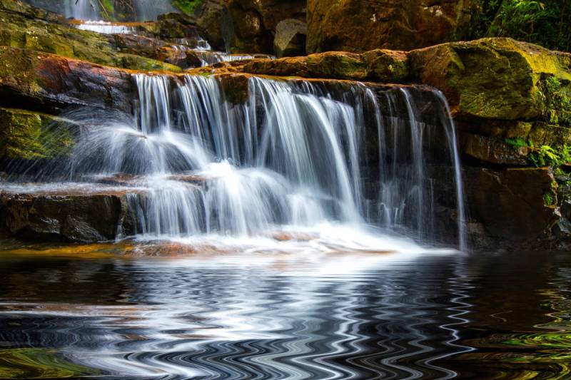 Papermoon Fototapete »Kleiner Waserfall in Wald« von Papermoon