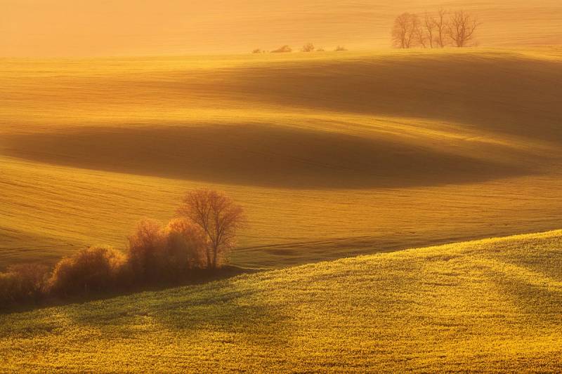 Papermoon Fototapete »Landschaft« von Papermoon