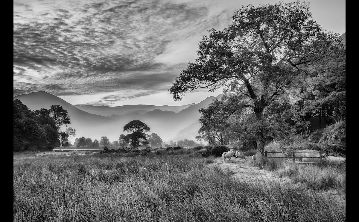 Papermoon Fototapete »Landschaft Schwarz & Weiss« von Papermoon