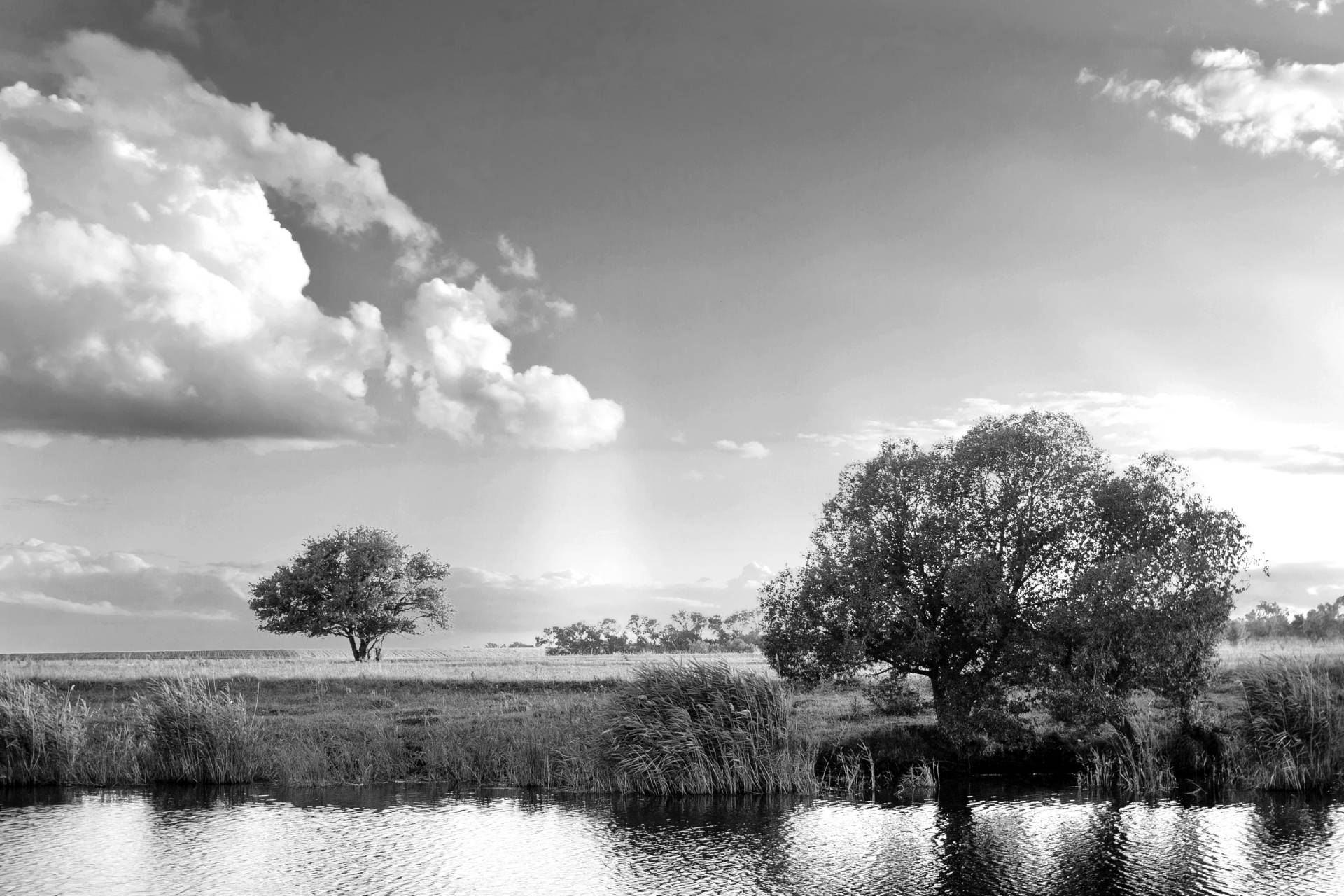 Papermoon Fototapete »Landschaft Schwarz & Weiss« von Papermoon