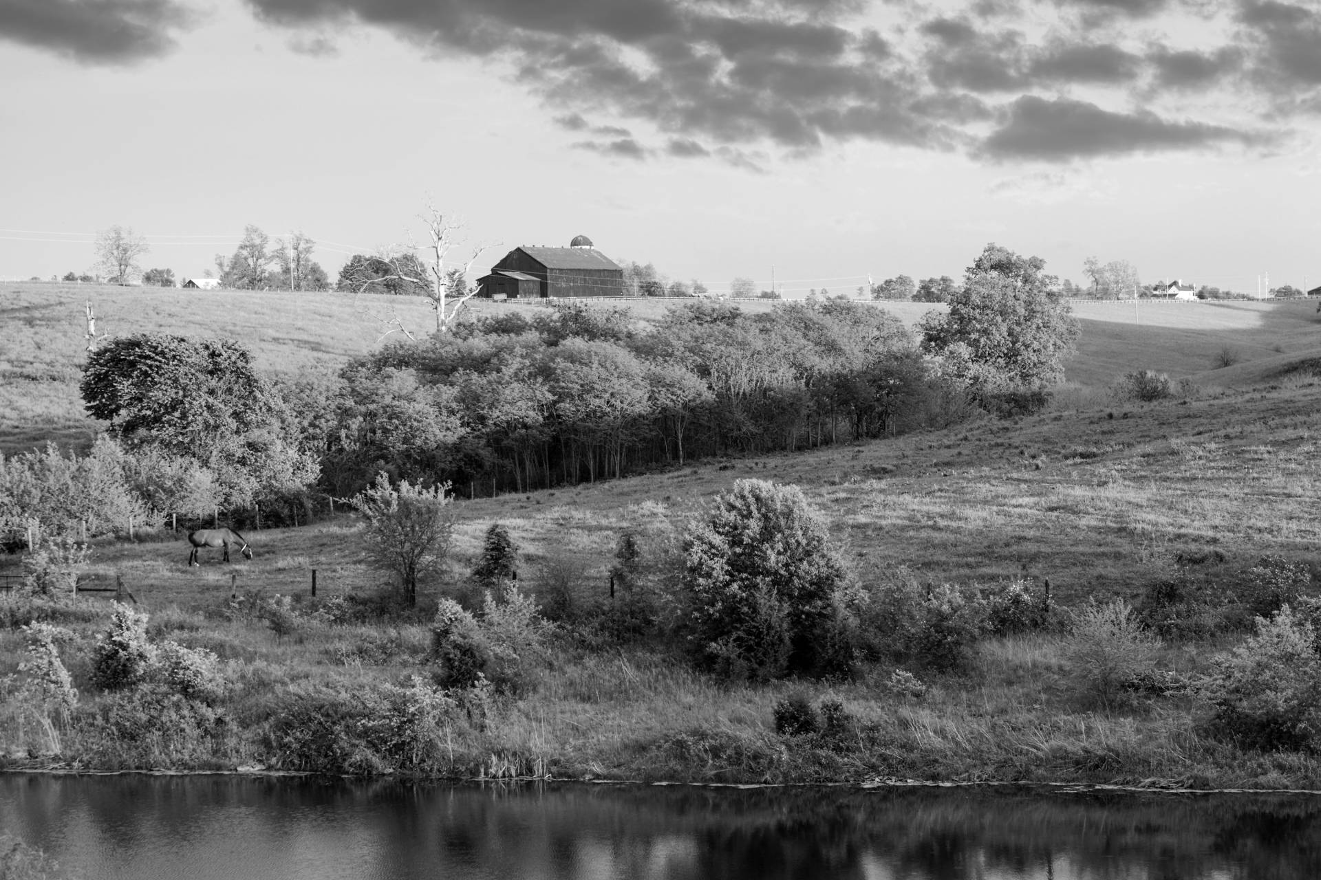 Papermoon Fototapete »Landschaft Schwarz & Weiss« von Papermoon