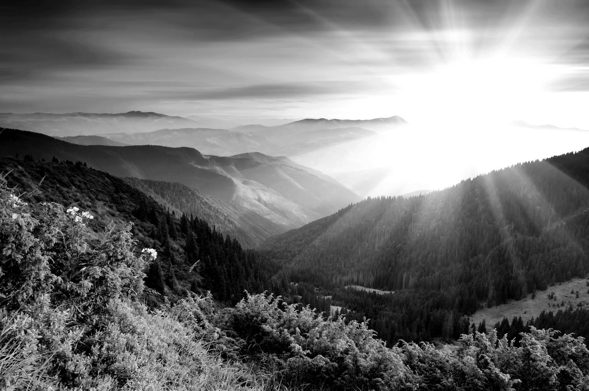Papermoon Fototapete »Landschaft Schwarz & Weiss« Papermoon Fototapete »Landschaft Schwarz & Weiss« von Papermoon