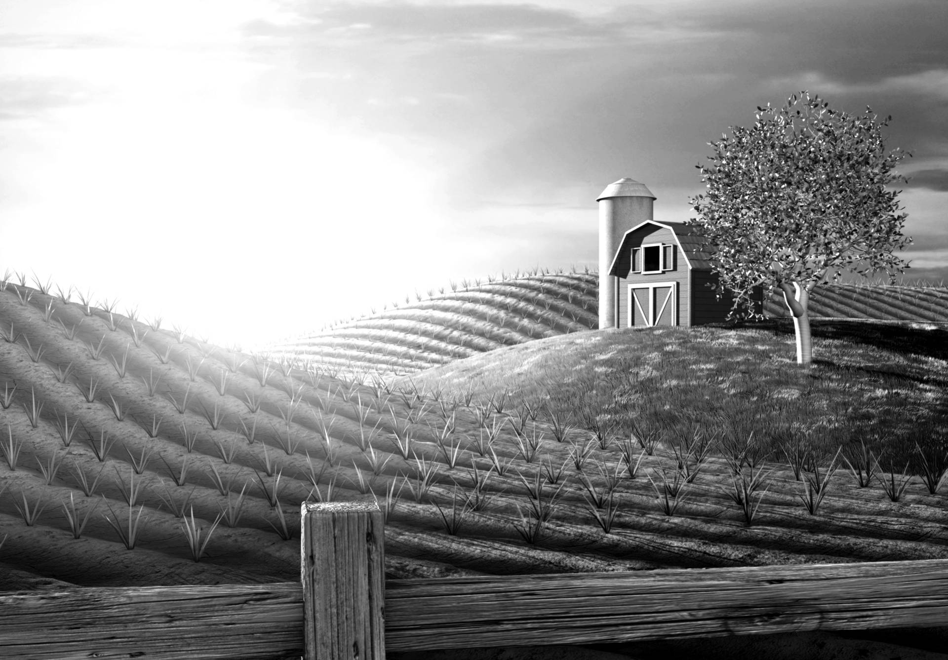 Papermoon Fototapete »Landschaft schwarz & weiss« Papermoon Fototapete »Landschaft schwarz & weiss« von Papermoon