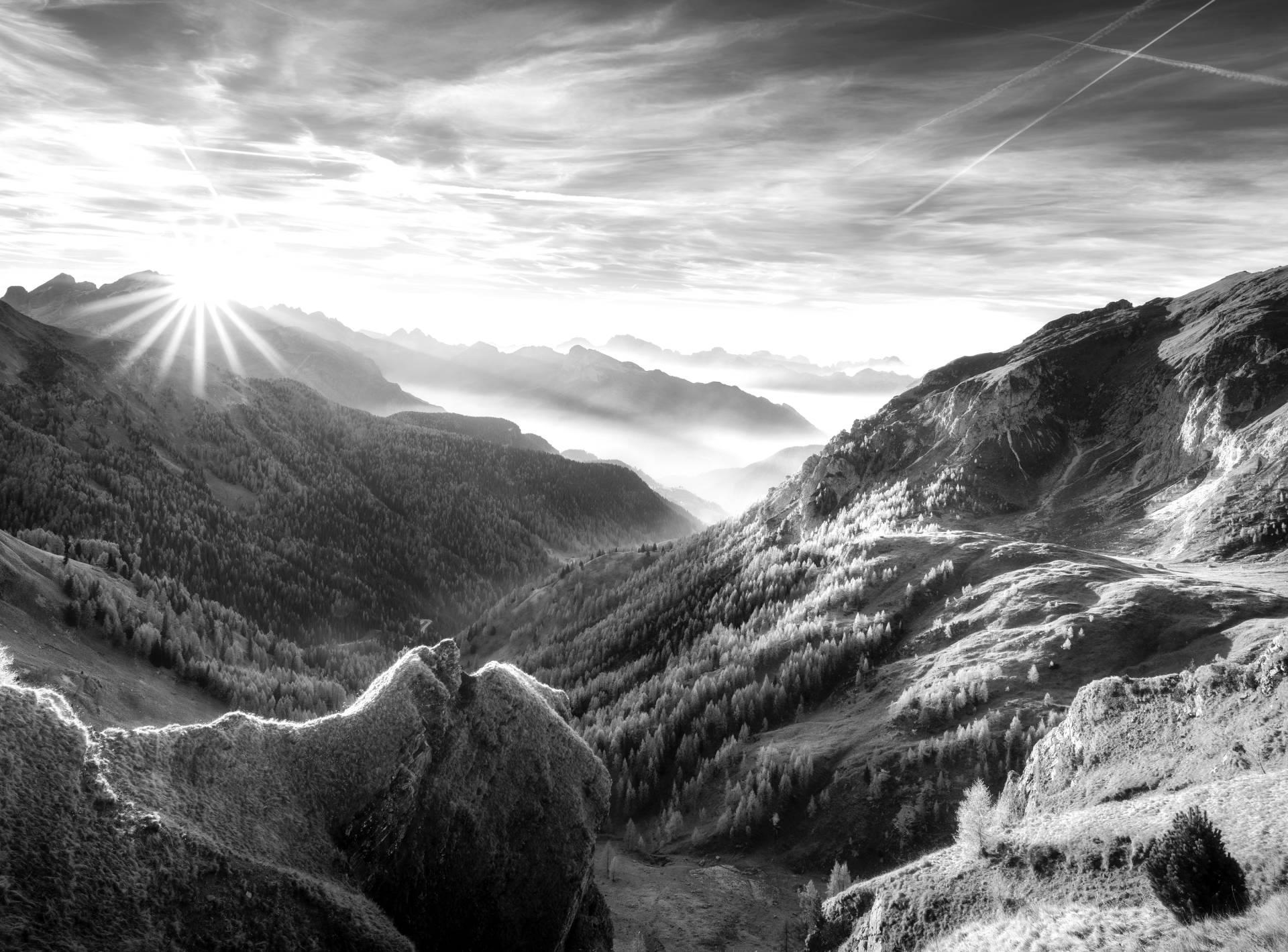 Papermoon Fototapete »Landschaft schwarz & weiss« Papermoon Fototapete »Landschaft schwarz & weiss« von Papermoon