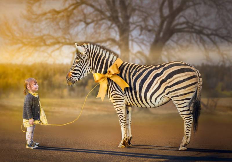 Papermoon Fototapete »Mädchen mit Zebra« von Papermoon