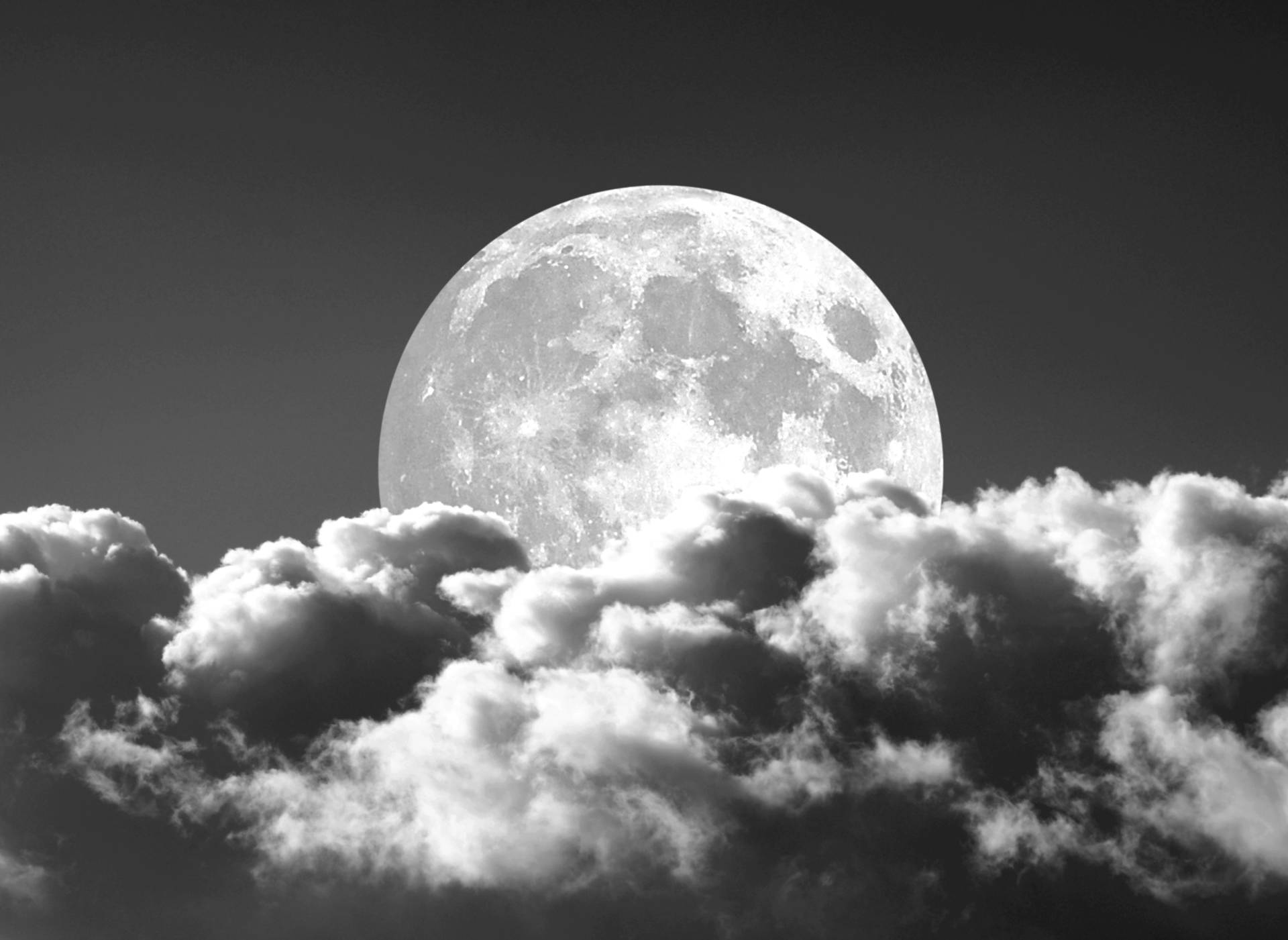 Papermoon Fototapete »Mond Schwarz & Weiss« Papermoon Fototapete »Mond Schwarz & Weiss« von Papermoon