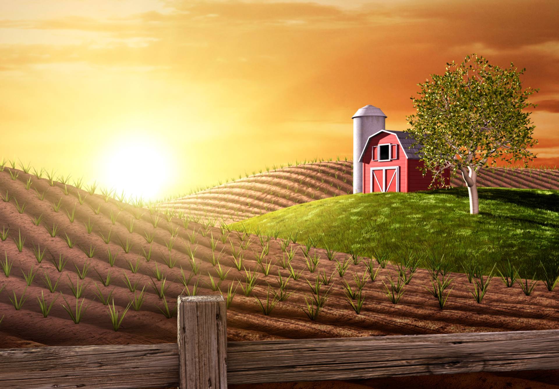 Papermoon Fototapete »Morning on the Farm« Papermoon Fototapete »Morning on the Farm« von Papermoon