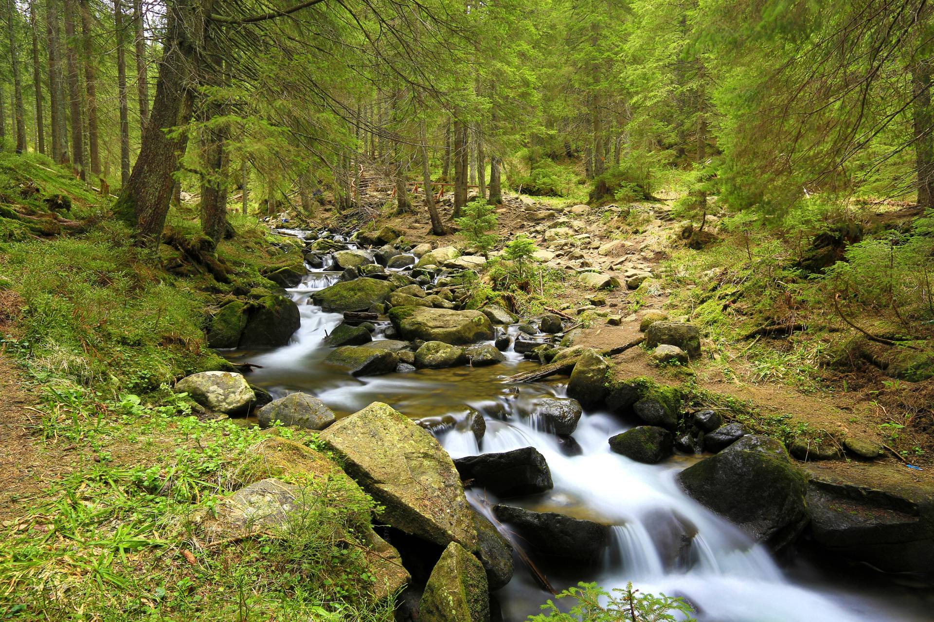 Papermoon Fototapete »Mountain River« Papermoon Fototapete »Mountain River« von Papermoon