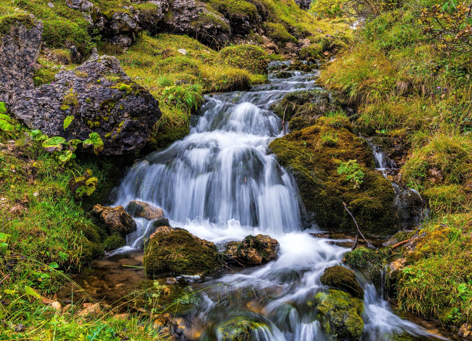 Papermoon Fototapete »Mountain Stream in Dolomites« Papermoon Fototapete »Mountain Stream in Dolomites« von Papermoon