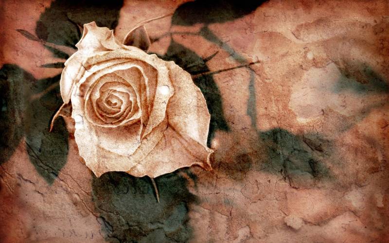 Papermoon Fototapete »Muster mit Blumen« von Papermoon