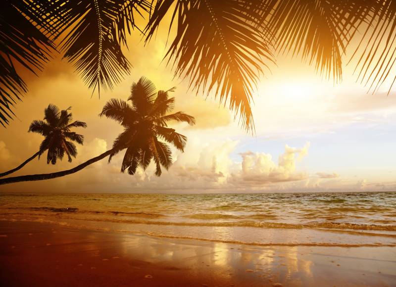 Papermoon Fototapete »PALMEN-STRAND-KARIBIK SÜDSEE MEER DÜNEN SONNE OZEAN XXL« von Papermoon