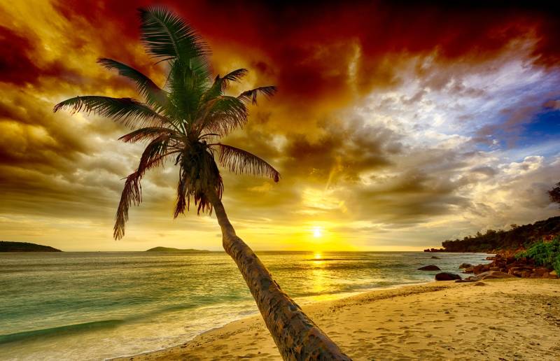 Papermoon Fototapete »PALMEN-STRAND-KARIBIK SÜDSEE MEER DÜNEN SONNE OZEAN XXL« von Papermoon