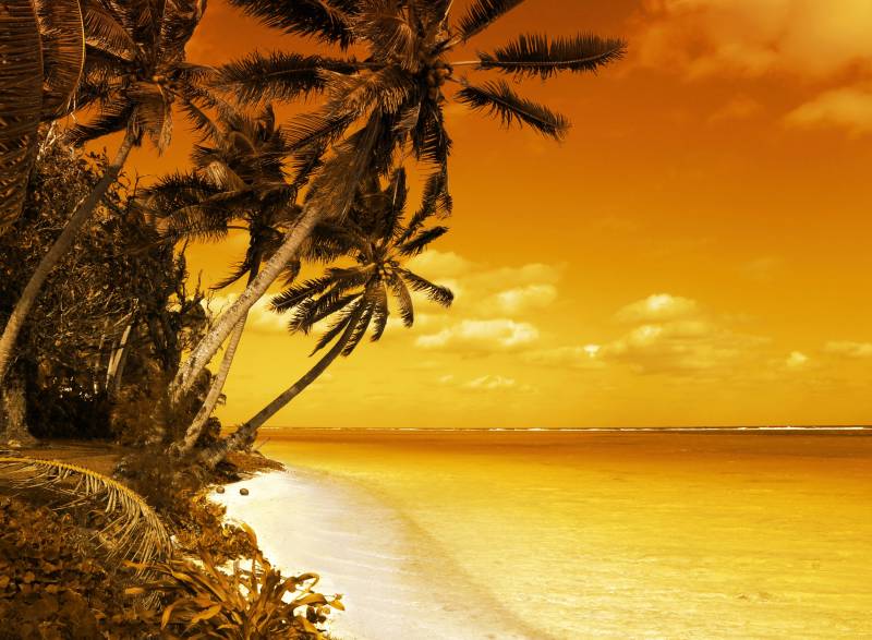 Papermoon Fototapete »PALMEN-STRAND-KARIBIK SÜDSEE MEER OZEAN SEE SONNE DÜNEN« von Papermoon