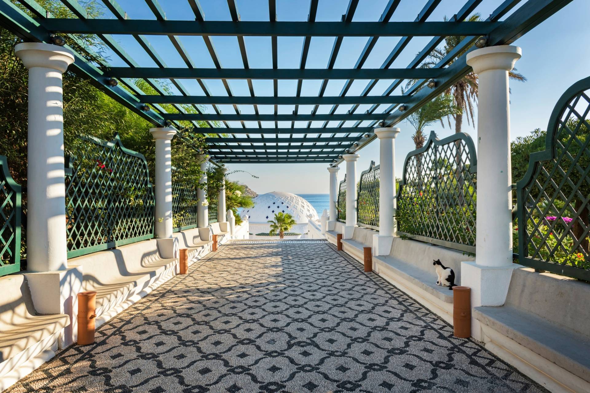 Papermoon Fototapete »PERGOLA-RHODOS BLUMEN SEE MEER TERRASSE PALMEN DÜNEN« Papermoon Fototapete »PERGOLA-RHODOS BLUMEN SEE MEER TERRASSE PALMEN DÜNEN« von Papermoon