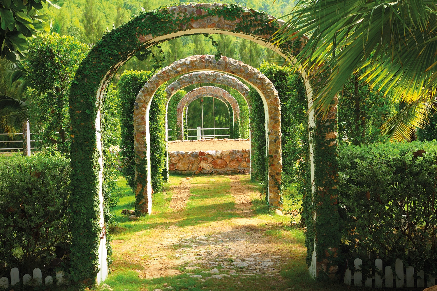 Papermoon Fototapete »Pergola Garden« Papermoon Fototapete »Pergola Garden« von Papermoon