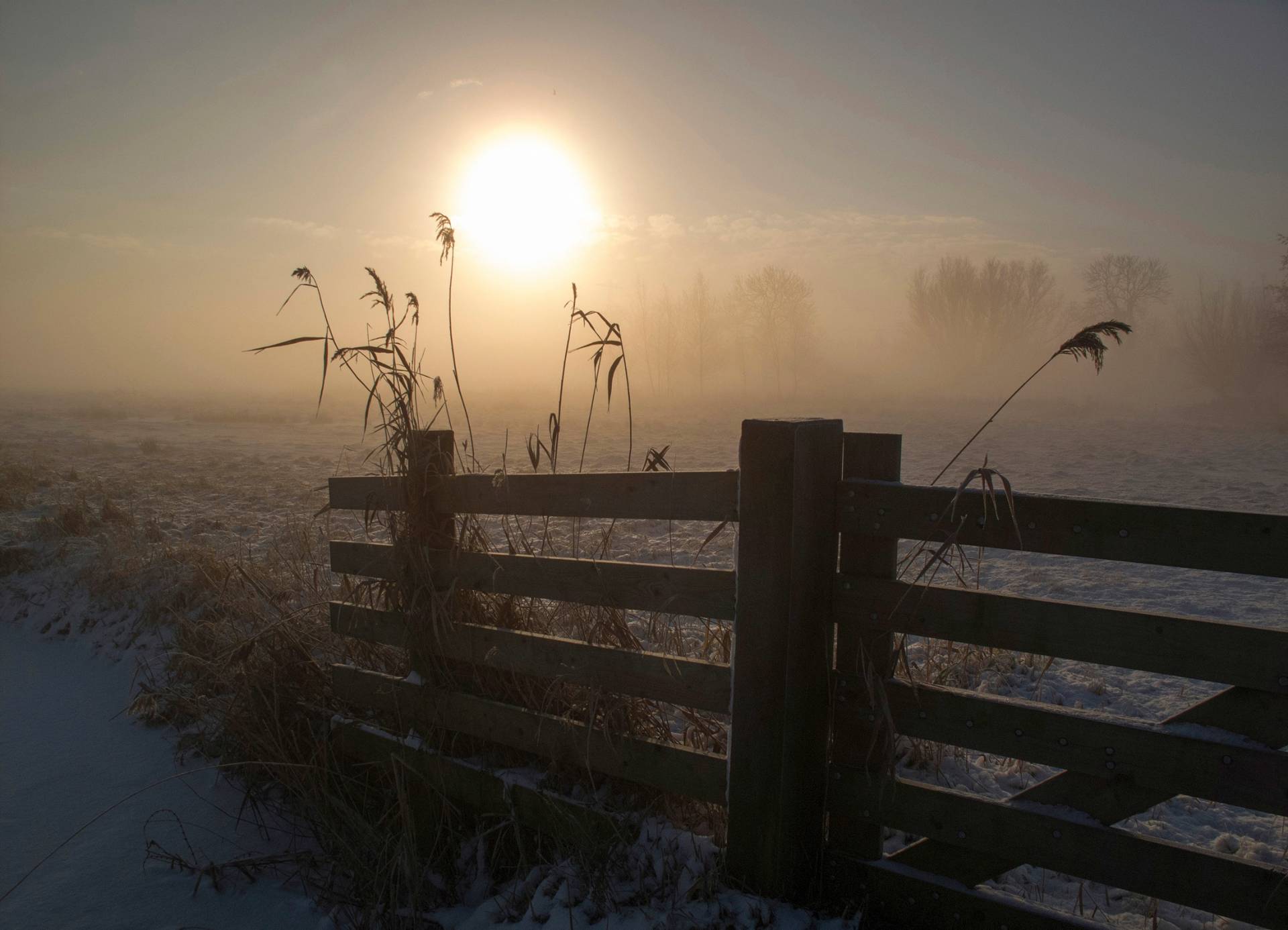 Papermoon Fototapete »Photo-Art ALIDA VAN ZAANE, WINTERSTIMMUNG« von Papermoon