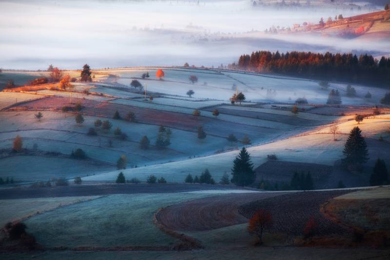 Papermoon Fototapete »Photo-Art AMIR BAJRICH, NEBEL« von Papermoon