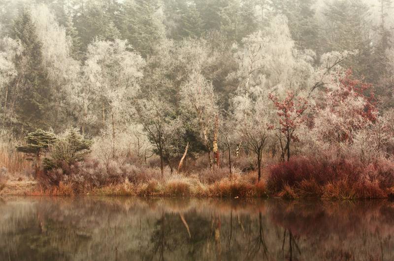 Papermoon Fototapete »Photo-Art ANTON VAN DONGEN, GEFROREN« von Papermoon