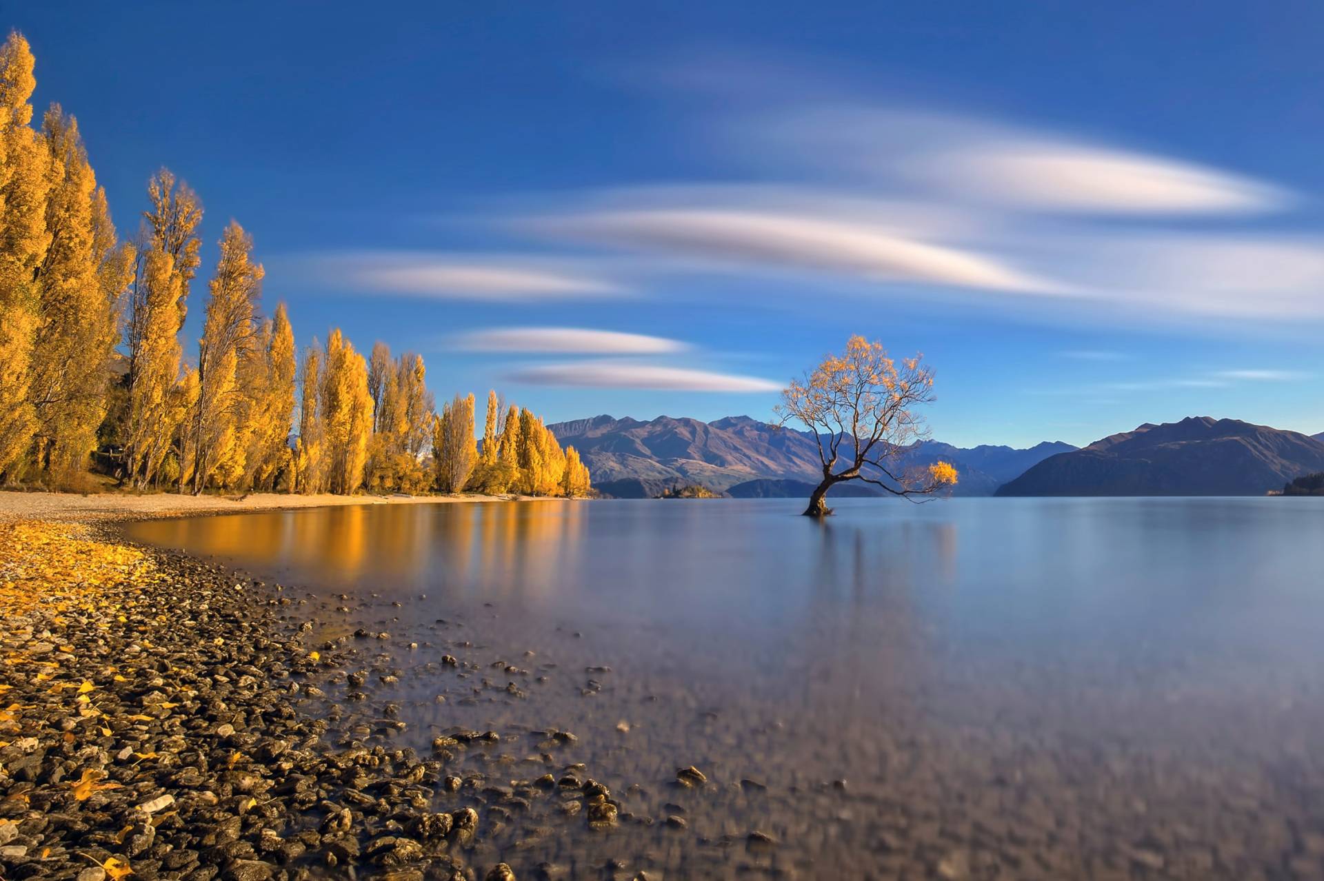 Papermoon Fototapete »Photo-Art HUA ZHU, HERBST IM SEE WANAKA« Papermoon Fototapete »Photo-Art HUA ZHU, HERBST IM SEE WANAKA« von Papermoon