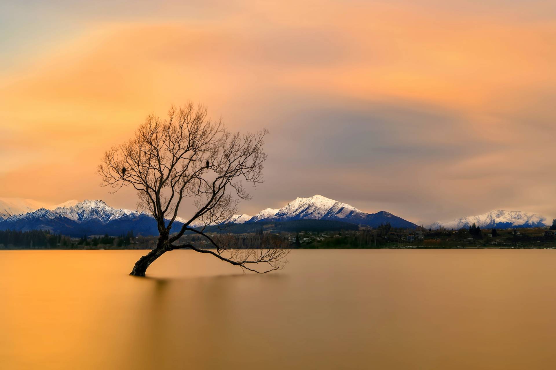 Papermoon Fototapete »Photo-Art HUA ZHU, MORGENGLÜHEN DES LAKE WANAKA« Papermoon Fototapete »Photo-Art HUA ZHU, MORGENGLÜHEN DES LAKE WANAKA« von Papermoon