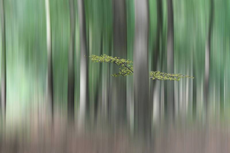 Papermoon Fototapete »Photo-Art HUIB LIMBERG, SUMMERMHERING« von Papermoon