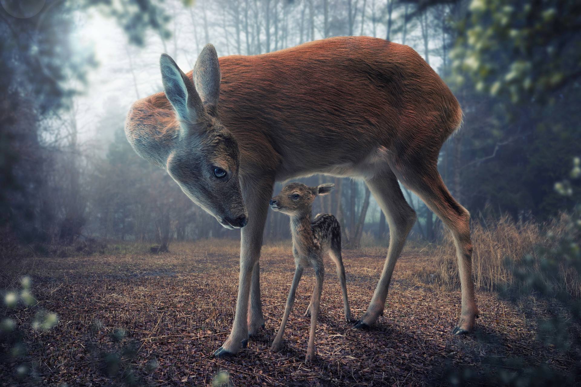 Papermoon Fototapete »Photo-Art JOHN WILHELM, MUTTER UND KITZ« Papermoon Fototapete »Photo-Art JOHN WILHELM, MUTTER UND KITZ« von Papermoon