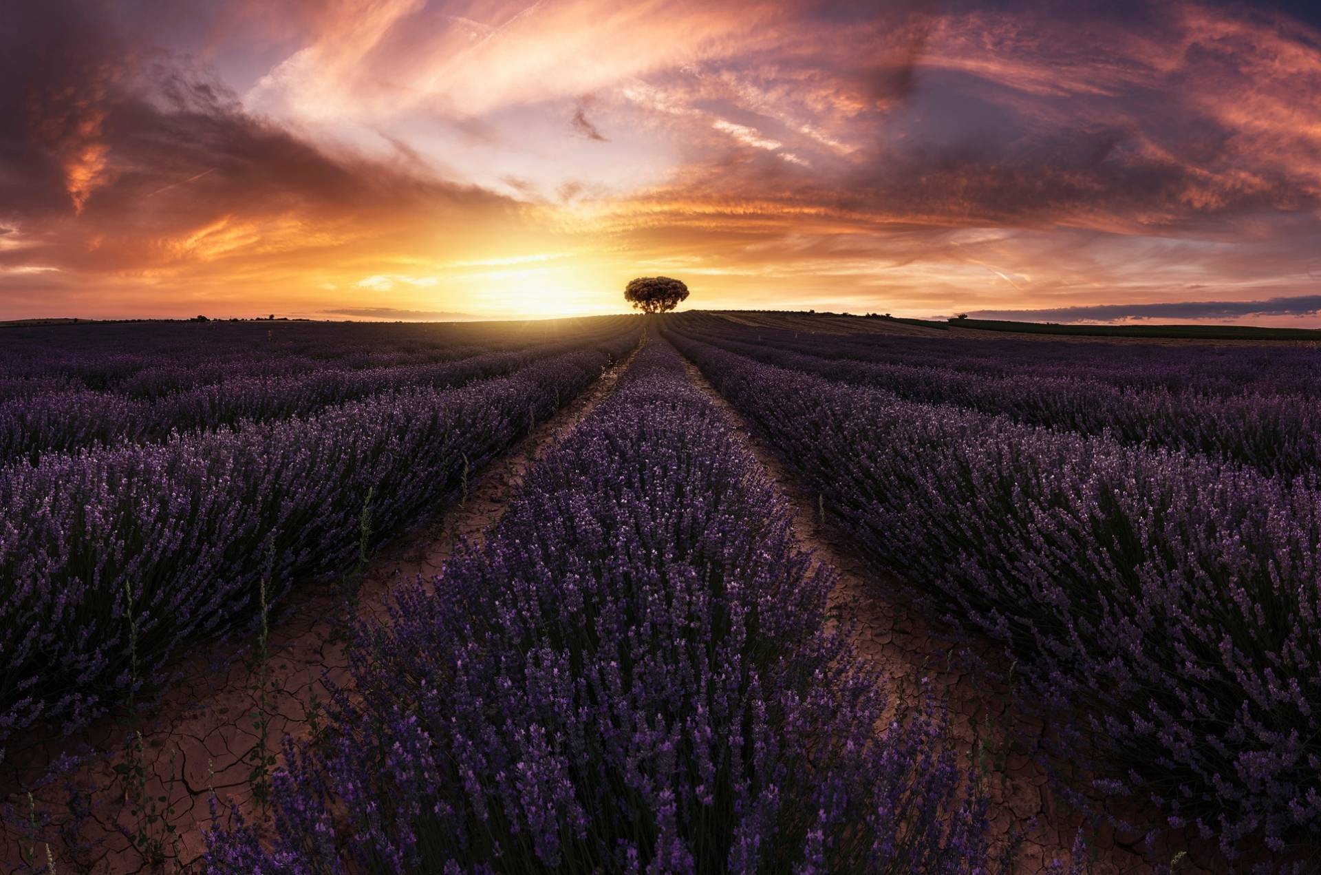 Papermoon Fototapete »Photo-Art JORGE RUIZ DUESO, LAVENDEL-SONNENUNTERGANG« Papermoon Fototapete »Photo-Art JORGE RUIZ DUESO, LAVENDEL-SONNENUNTERGANG« von Papermoon