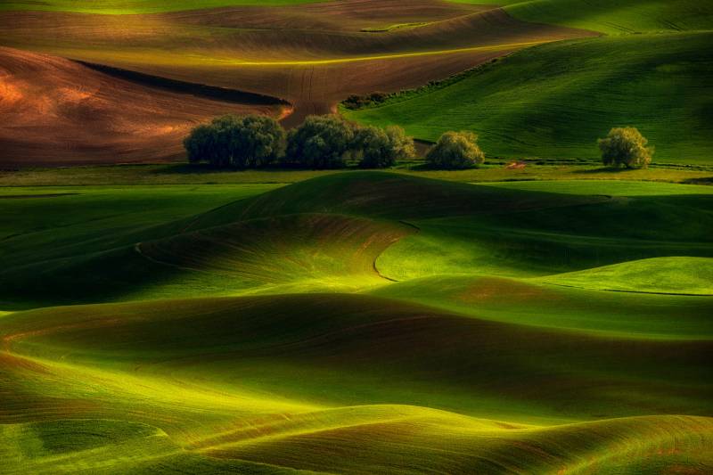 Papermoon Fototapete »Photo-Art LYDIA JACOBS, FRÜHLING IM PALOUSE« von Papermoon