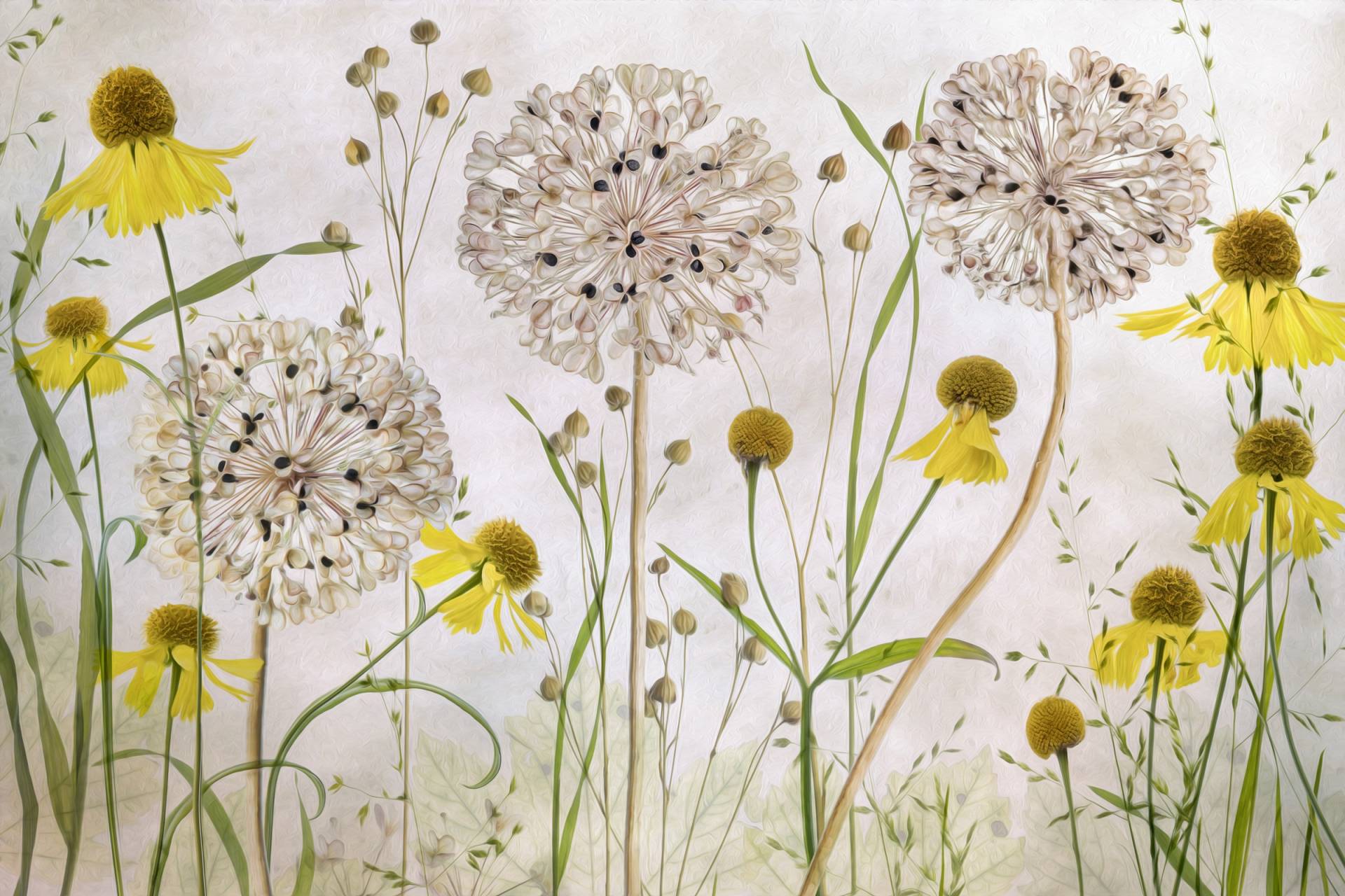 Papermoon Fototapete »Photo-Art MANDY DISHER, ALLIEN UND HELENIENS« Papermoon Fototapete »Photo-Art MANDY DISHER, ALLIEN UND HELENIENS« von Papermoon