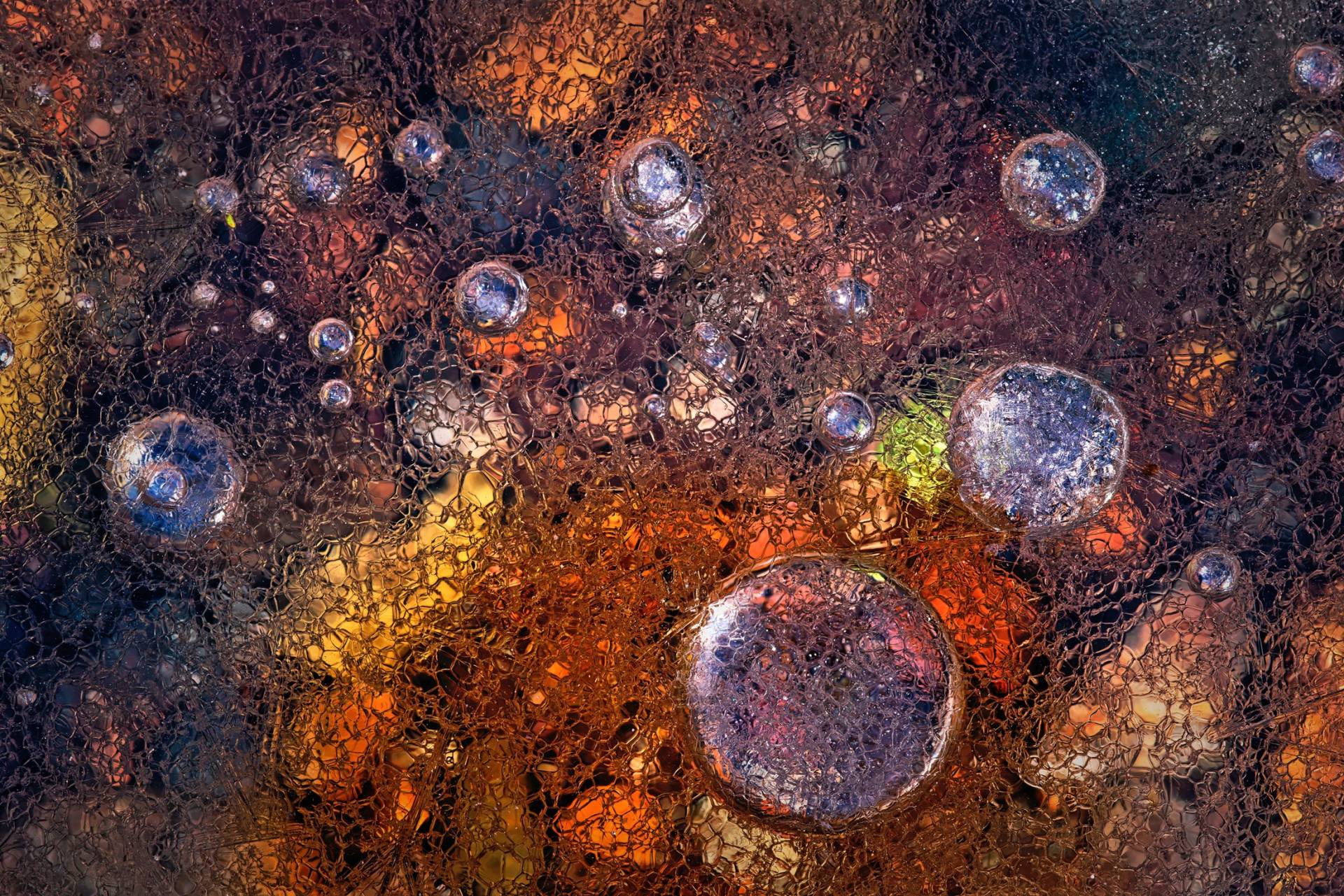 Papermoon Fototapete »Photo-Art PAOLO GIUDICI, WINTER ÜBER DEN HERBST« von Papermoon
