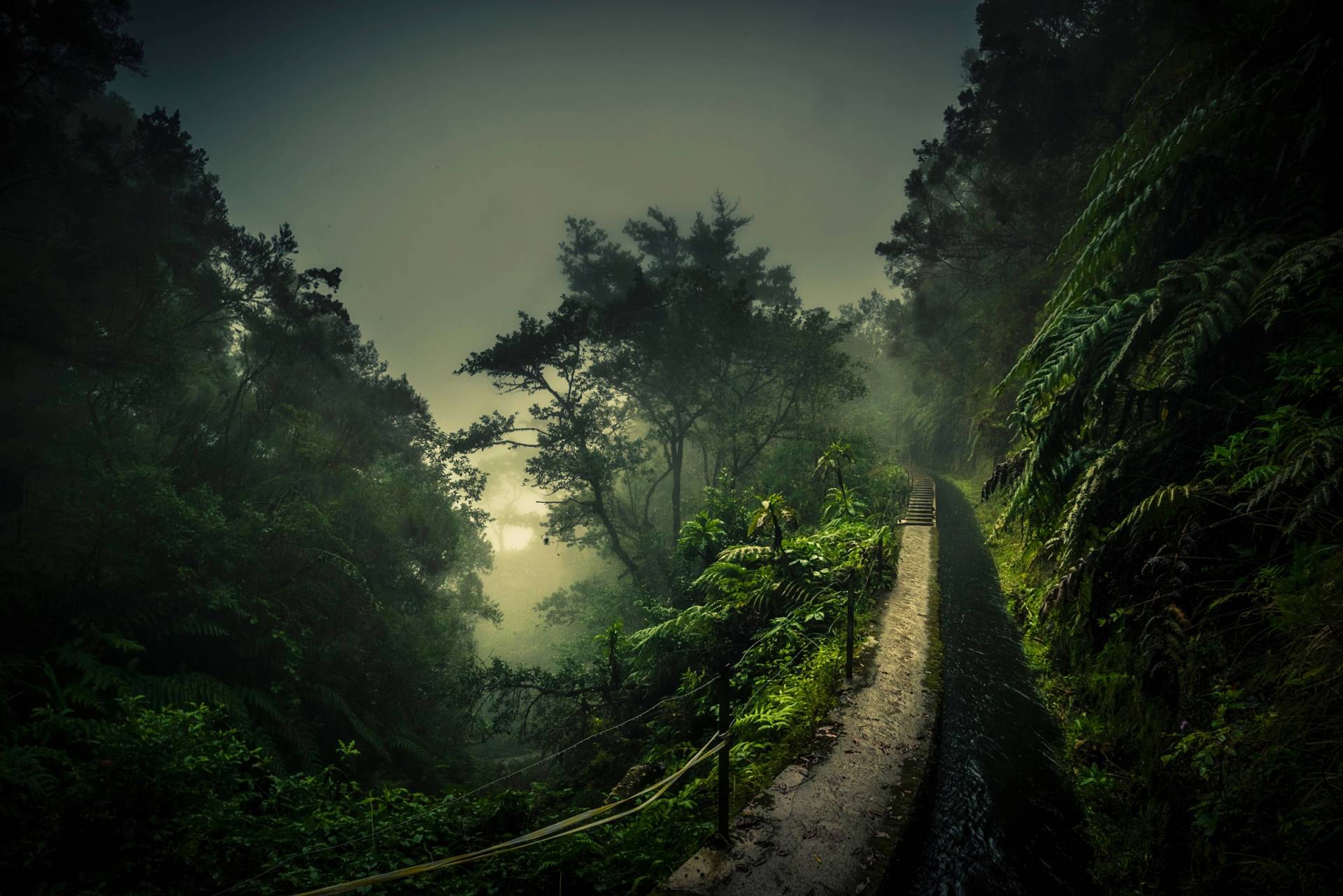 Papermoon Fototapete »Photo-Art ROLAND WEBER, LEVADA WALK« Papermoon Fototapete »Photo-Art ROLAND WEBER, LEVADA WALK« von Papermoon