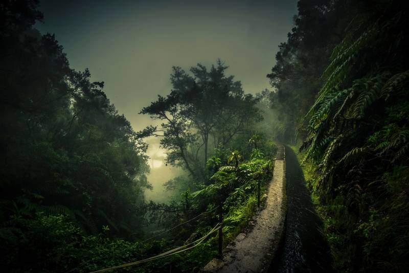 Papermoon Fototapete »Photo-Art ROLAND WEBER, LEVADA WALK« von Papermoon