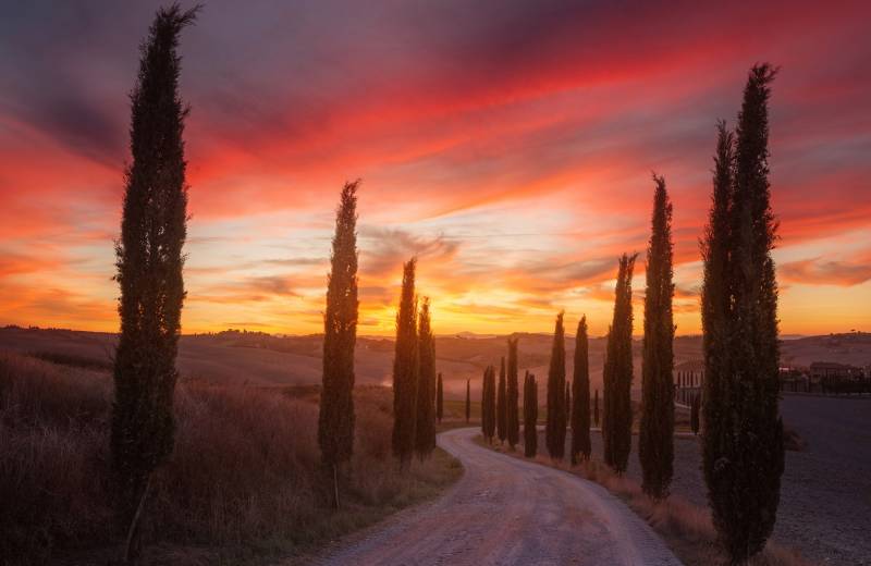 Papermoon Fototapete »Photo-Art ROSTOVSKIY ANTON, TOSKANA-SONNENUNTERGANG« von Papermoon