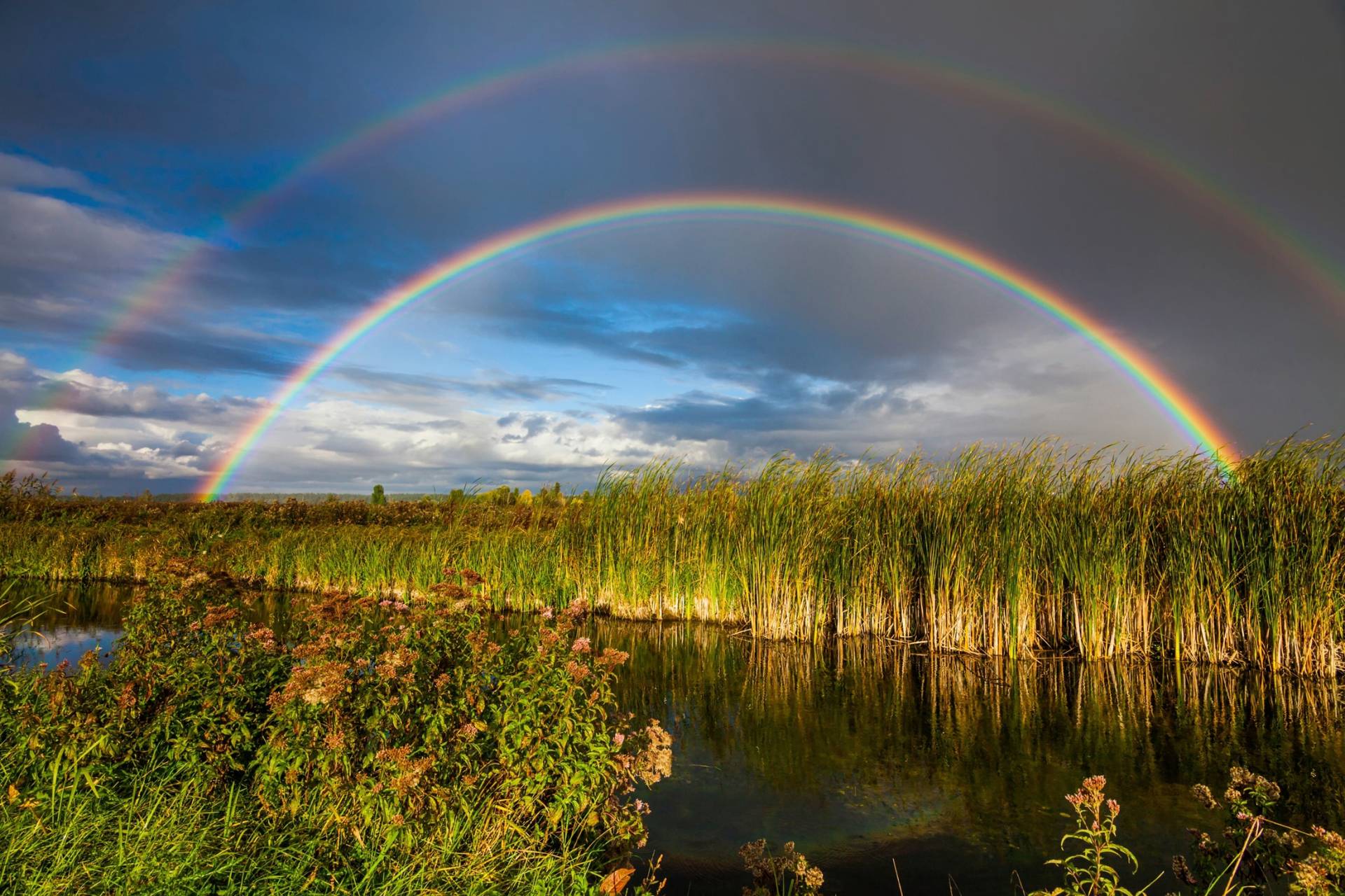 Papermoon Fototapete »REGENBOGEN ÜBER FLUSS-LANDSCHAFT NATUR HIMMEL WOLKEN« Papermoon Fototapete »REGENBOGEN ÜBER FLUSS-LANDSCHAFT NATUR HIMMEL WOLKEN« von Papermoon